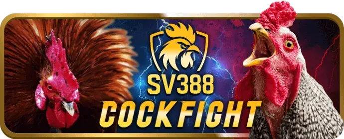 Hoàn trả cực cao ok8368